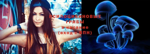 шишки Беломорск