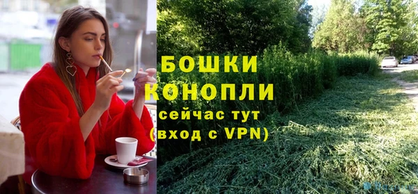 дживик Богданович