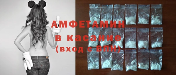 шишки Беломорск
