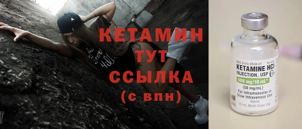шишки Беломорск